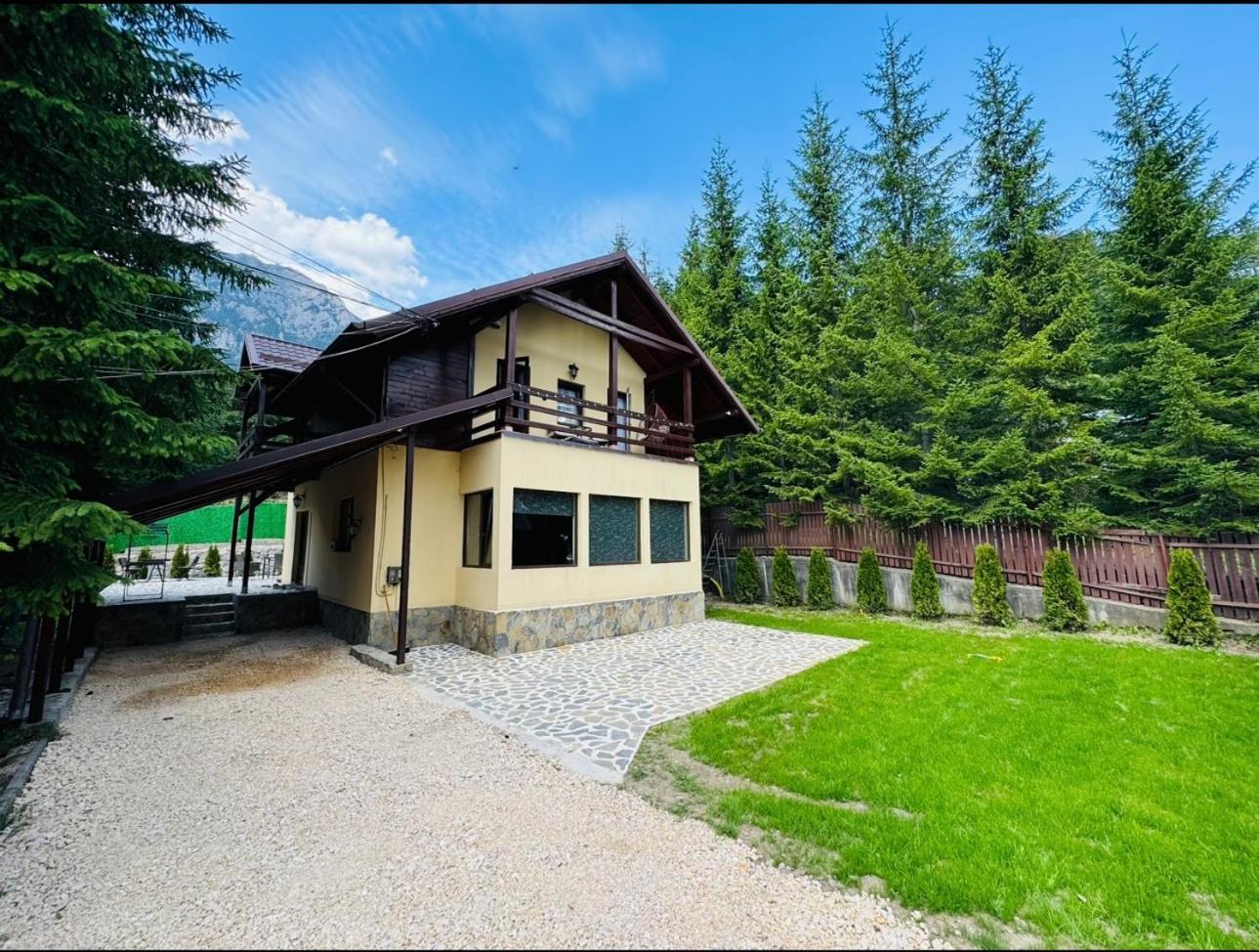 Ollie'S Mountain Chalet Buşteni Exterior foto