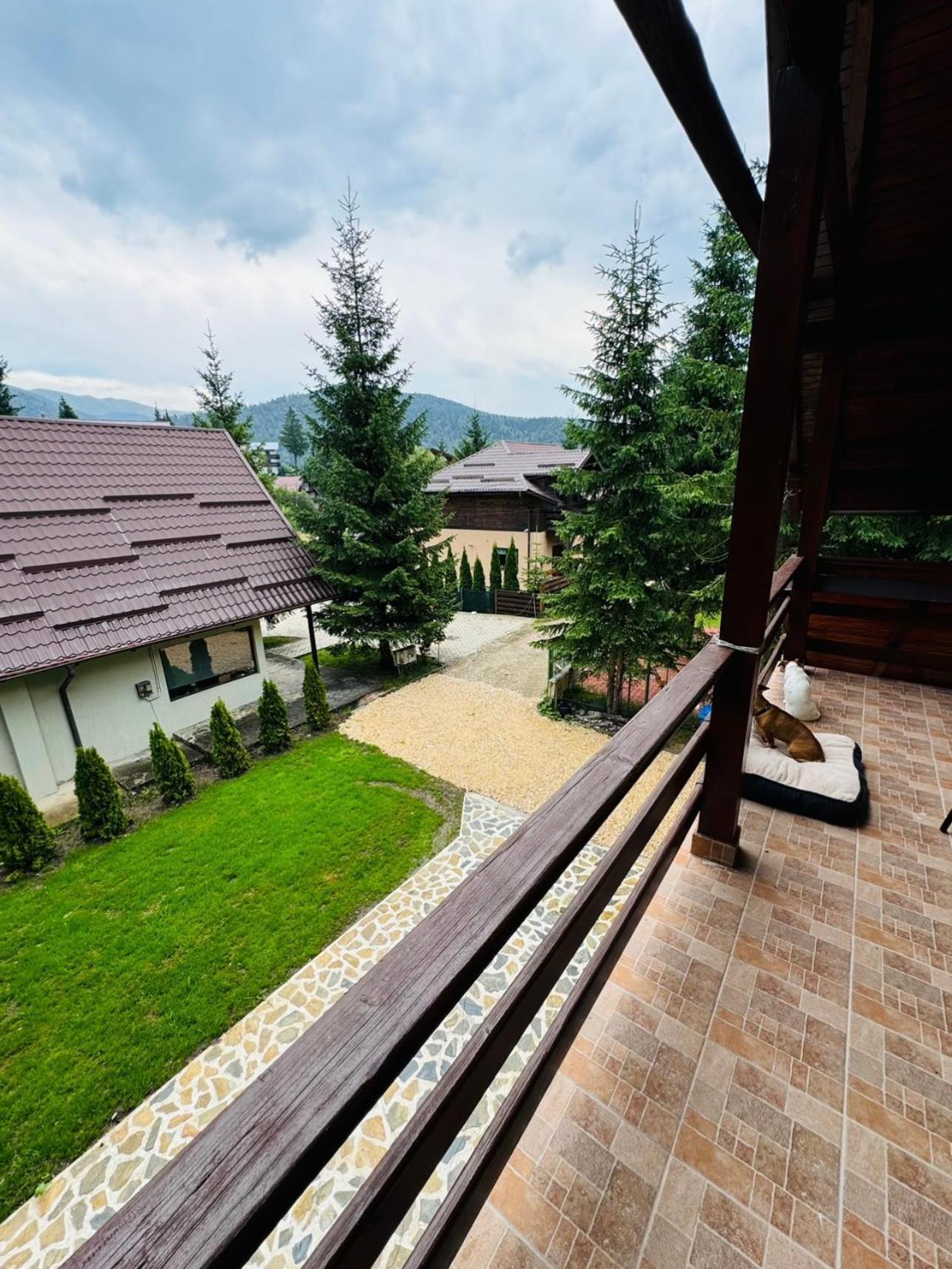 Ollie'S Mountain Chalet Buşteni Exterior foto