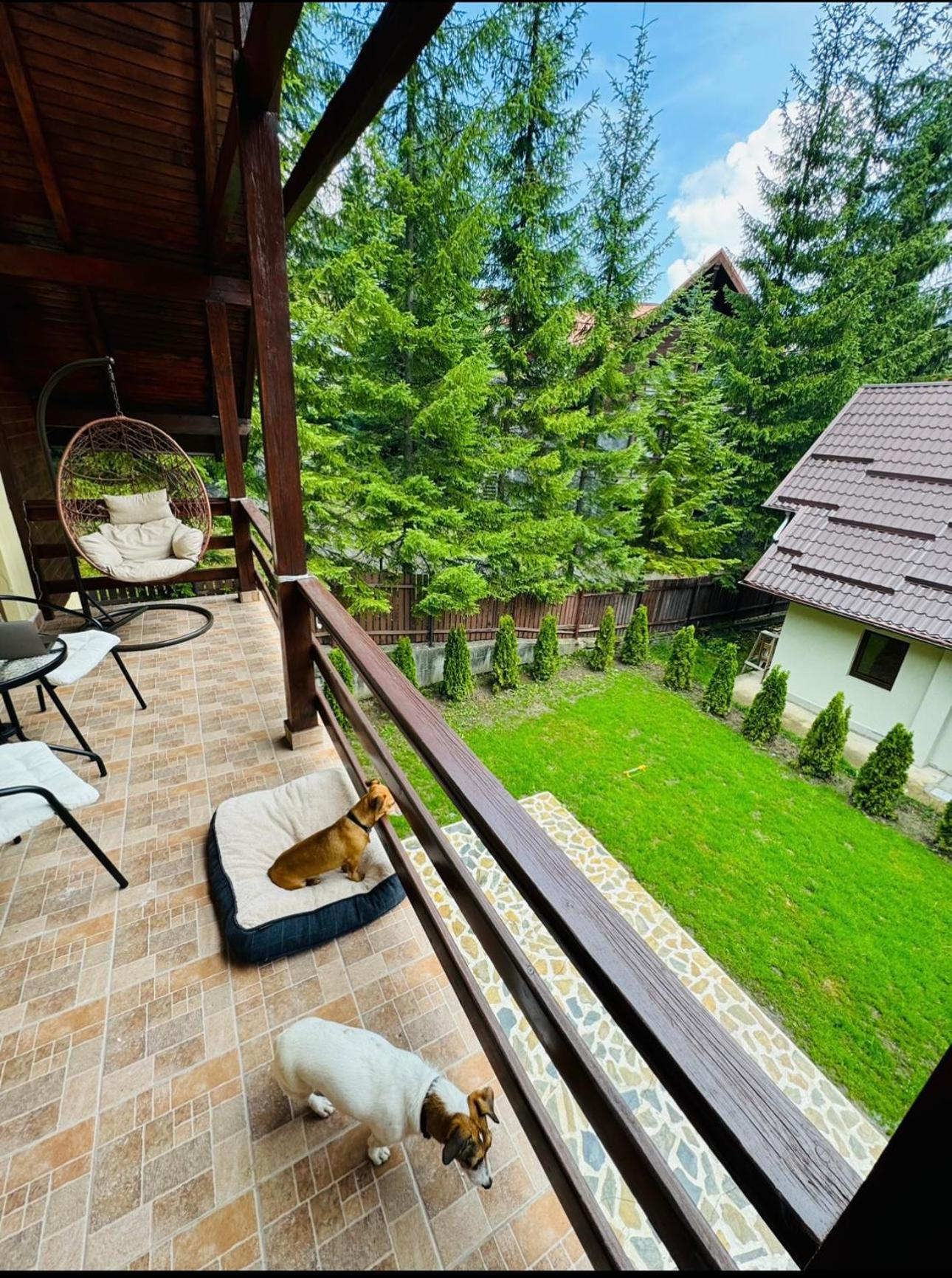 Ollie'S Mountain Chalet Buşteni Exterior foto